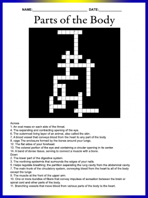 Free Online Crossword Puzzles on Parts Of The Body Crossword Puzzle