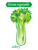 Lesson worksheets Celery