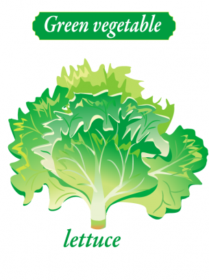 Lesson Worksheets Lettuce