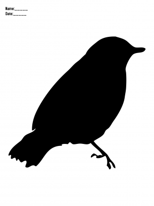 Black Bird Paper Stencils 