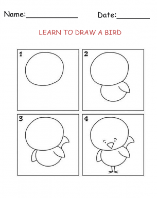 Printable Bird Drawing Worksheet