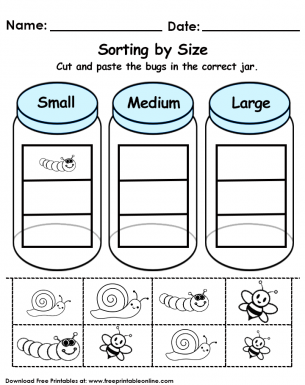 Sorting by Size Worksheet 