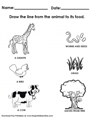 Animal and Its Food Worksheet