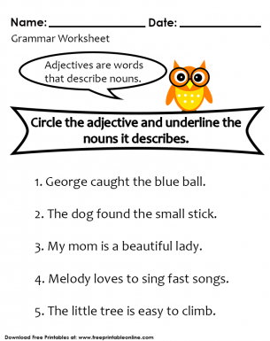 Noun and Adjective  Worksheet