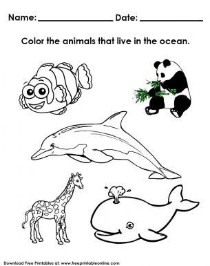 Coloring Animals Live in Water Worksheet 