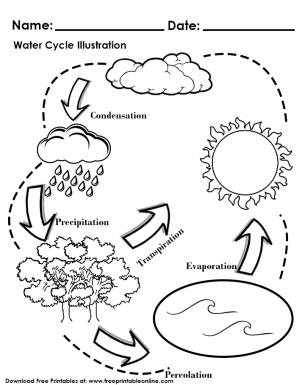 Water Cycle Illustration Worksheet