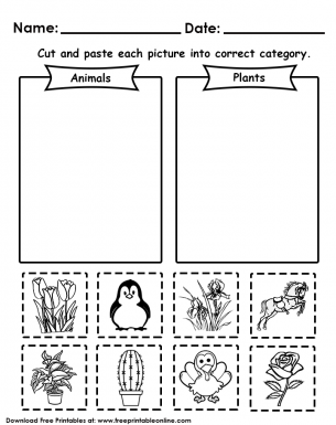 Animals or Plants Worksheets - Cut and paste each picture into the correct category