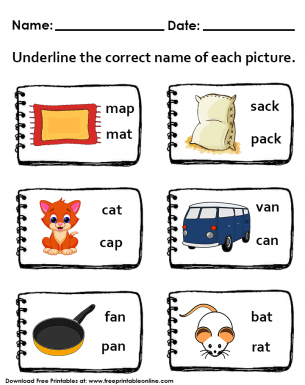 Naming Picture Objects Worksheet - Underline the correct name of each picture.
