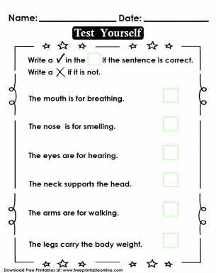 Body Part Function Test - Kids Worksheet Handout - Tick if the sentence is correct and write a cross if it is not.