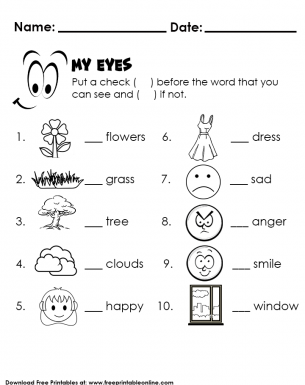 Test My Sense of Sight - Kids Worksheet