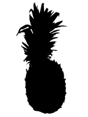 Pineapple Stencils