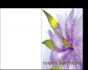 Cute Flowers Birthday Cards