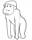 Monkey Coloring Pages Sheets