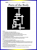 Parts Of The Body Crossword Puzzle