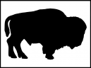 Adult Bison or buffalo Stencils