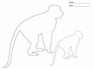 Monkey Stencils Paper Crafts