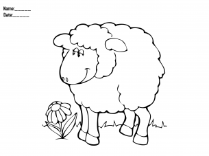 Activity Templates Sheep