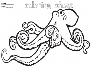 Coloring Pages Octopus