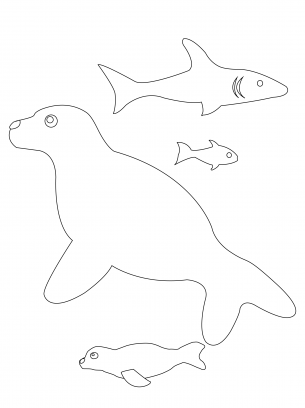 Seal Coloring Sheet
