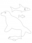Seal Coloring Sheet