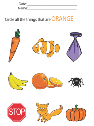 Kids Worksheets Orange items