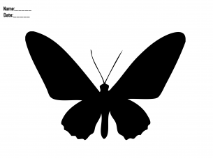Paper Stencils Butterfly