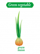 Green vegetable - green onion