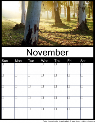 November Of Any Year Blank Printable Monthly Calendar with Ghost Gums in the mist