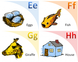 Illustrated Flash Cards Learning E - H