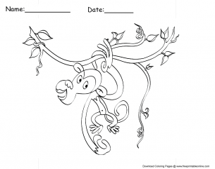 Monkey Coloring Pages Sheets