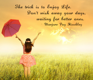 Quotes about Enjoying Life