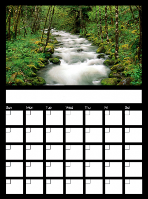 New January 2017 Printable Monthly Calendar