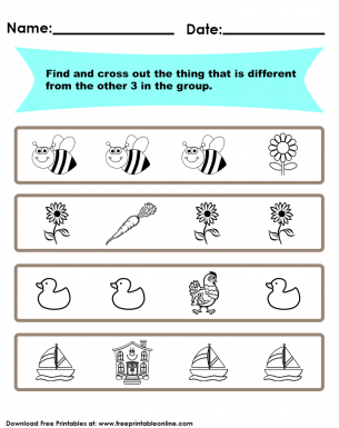 Free Find the Different Thing Worksheet