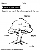 Parts of the Tree Kids Worksheet