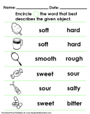 Sense of Touch and Taste - Worksheet For Kids - Encircle the word that best describes the give object.