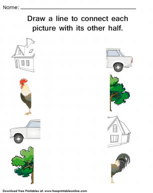 Half The Picture Matching Kids Worksheet - Draw a line to connect each picture with its other half.