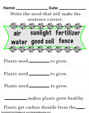 What Do Plants Need to Grow Worksheet - write the correct work to complete the sentence.