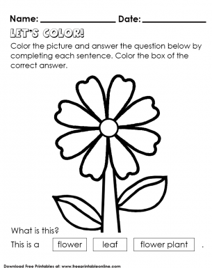 Flower Coloring - Kids Worksheet with question and answer by coloring in worksheet
