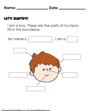 Lets I dendifyIdentifying the Parts of the Face - Kids Worksheet
