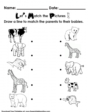 Matching Animal Parents to their Babies, Preschool Worksheet
