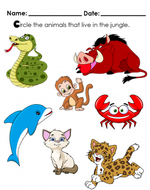 Colourful animal images. Select who lives in the jungle?