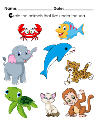 Circle the animals that live under the sea. Is it a Crab, fish, elephant, dolfin, leopard, turtle, cat or a monkey?