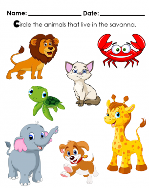 Circle the animals that live in the savanna. Could be? Lion, Crab, Cat, Turtle, Giraffe, Elephant, Dog? You Choose
