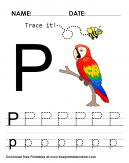 Trace it - Trace The Letter P Worksheet - P is for parrot