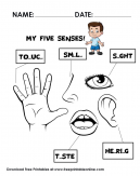 Learn About Our Five Senses
