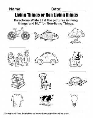 Living things or Non Living Things Directions:  Write the LT if the picture is living things and NLT for Non-living Things