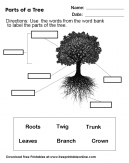Parts of a Tree Worksheet for Primary School kids - Use the words from the word bank to name the parts of the tree