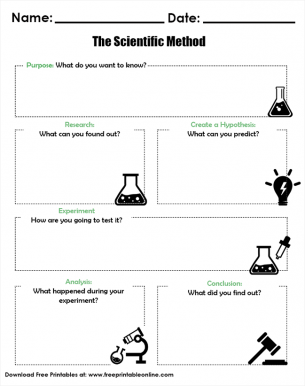 The Scientific Method Worksheets - Gathering Data Through Observation and Experimentation