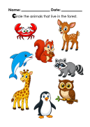 Animals Worksheet - Choose the animals that live in the forrest