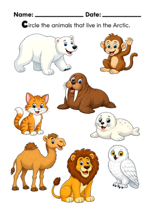 Animals That Live in the Arctic - Find the ones that live in the Arctic.